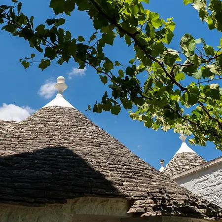 Palazzo Scotto (adults Only) 3* Alberobello