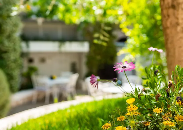 Palazzo Scotto (adults Only) Station touristique Alberobello