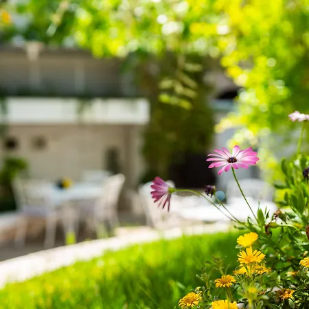 Palazzo Scotto Resort Alberobello
