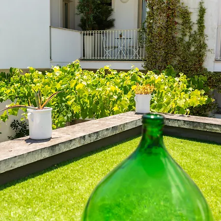 Palazzo Scotto (adults Only) 3* Alberobello